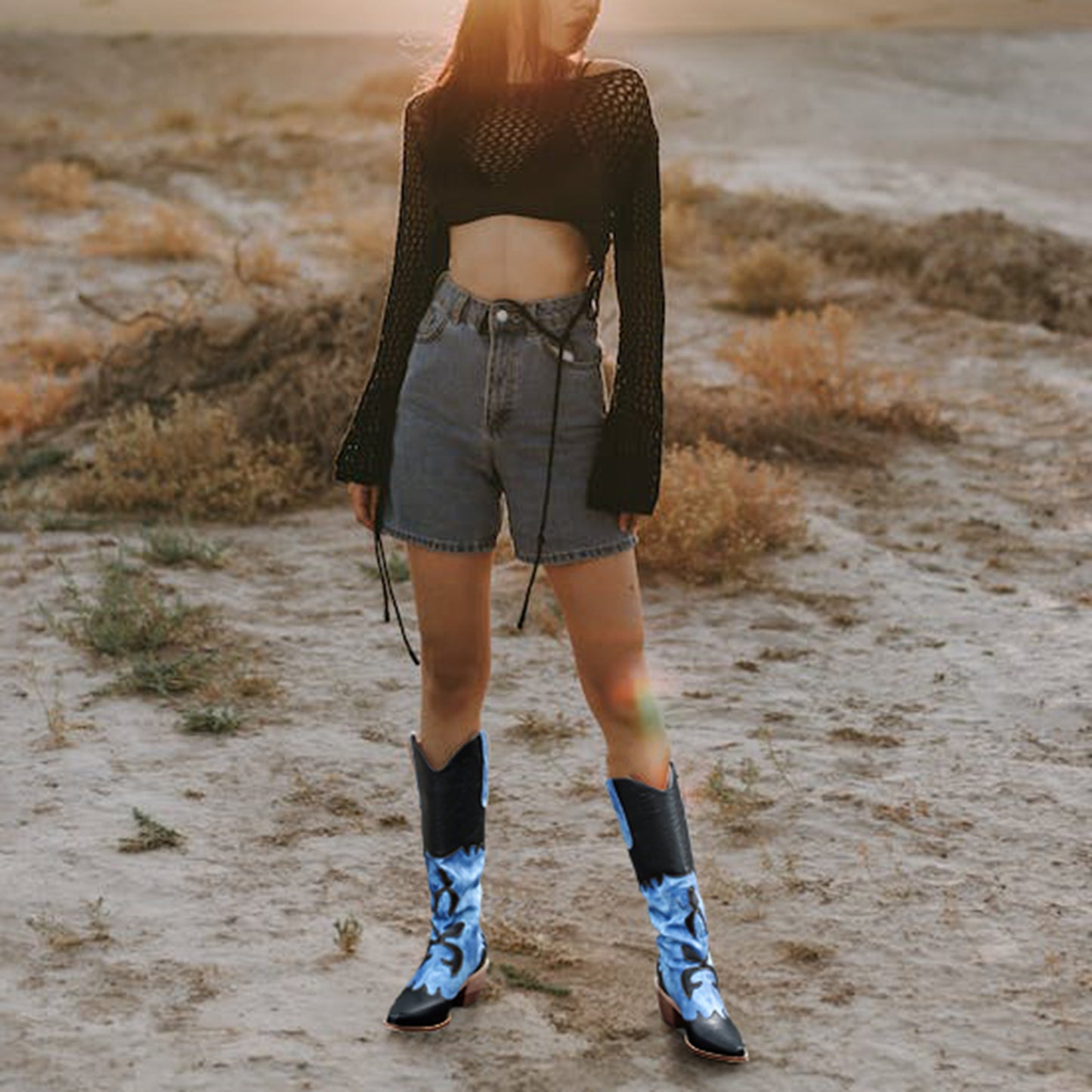 Denim Cowboy Boots - Women Pointed Toe Chunky Heel Boots